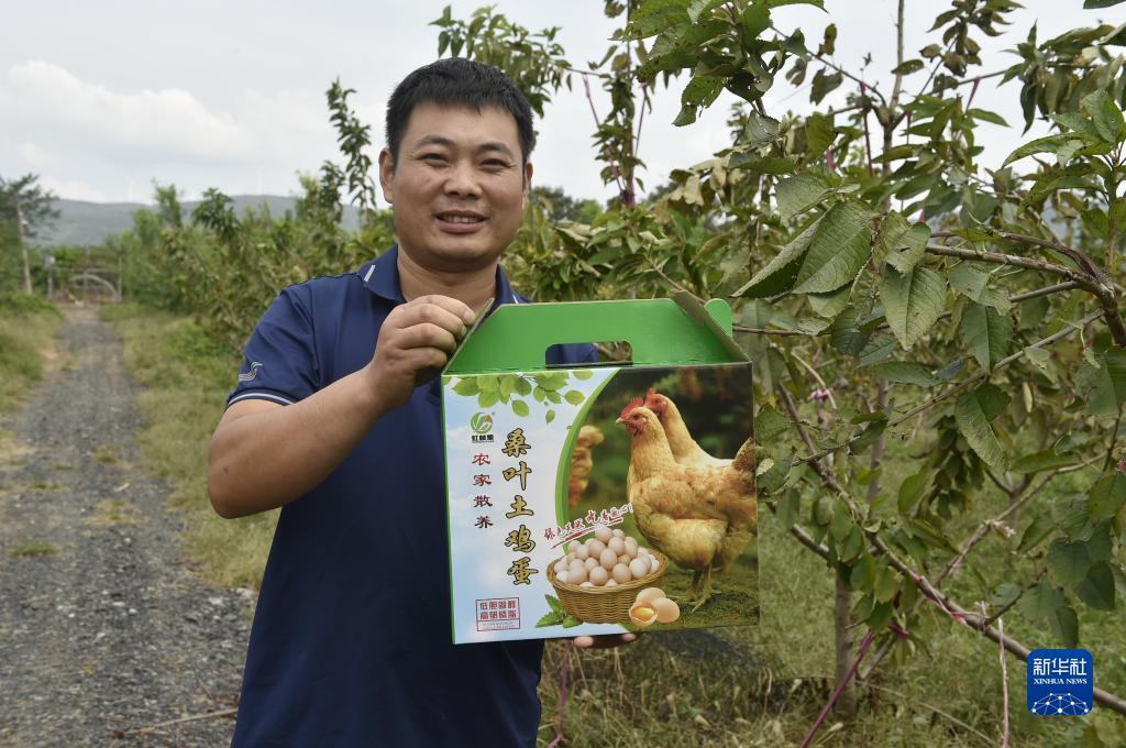 蓬莱岛娱乐
